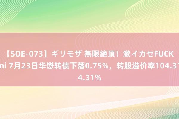 【SOE-073】ギリモザ 無限絶頂！激イカセFUCK Ami 7月23日华懋转债下落0.75%，转股溢价率104.31%