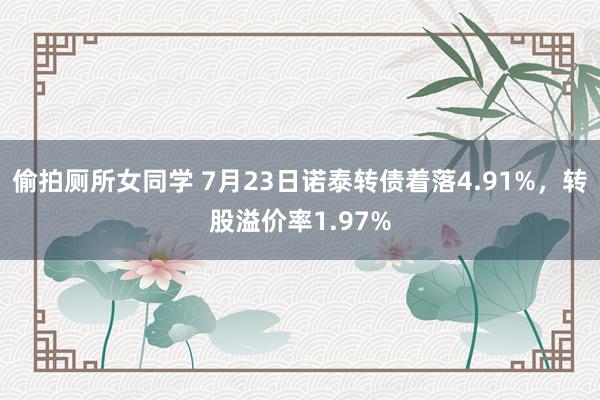 偷拍厕所女同学 7月23日诺泰转债着落4.91%，转股溢价率1.97%