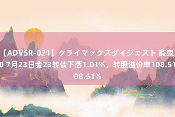 【ADVSR-021】クライマックスダイジェスト 姦鬼 ’10 7月23日金23转债下落1.01%，转股溢价率108.51%