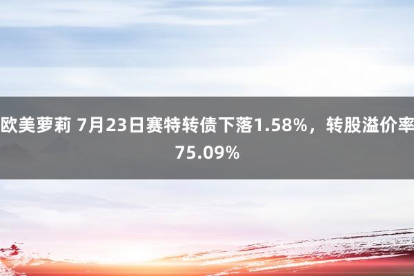 欧美萝莉 7月23日赛特转债下落1.58%，转股溢价率75.09%