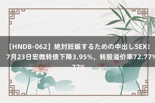 【HNDB-062】絶対妊娠するための中出しSEX！！ 7月23日宏微转债下降3.95%，转股溢价率72.77%