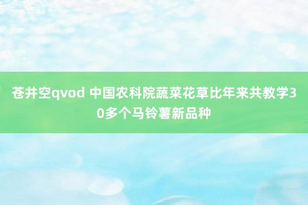 苍井空qvod 中国农科院蔬菜花草比年来共教学30多个马铃薯新品种