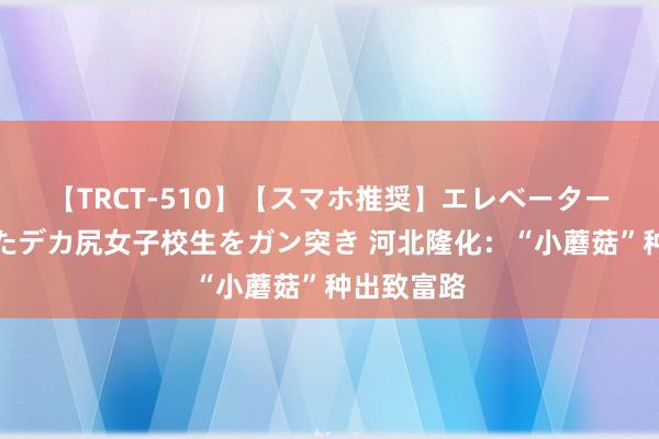 【TRCT-510】【スマホ推奨】エレベーターに挟まれたデカ尻女子校生をガン突き 河北隆化：“小蘑菇”种出致富路