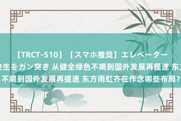 【TRCT-510】【スマホ推奨】エレベーターに挟まれたデカ尻女子校生をガン突き 从健全绿色不竭到国外发展再提速 东方雨虹齐在作念哪些布局？