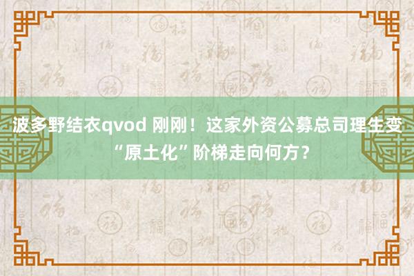 波多野结衣qvod 刚刚！这家外资公募总司理生变 “原土化”阶梯走向何方？