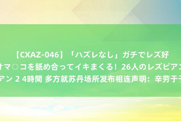 【CXAZ-046】「ハズレなし」ガチでレズ好きなお姉さんたちがオマ○コを舐め合ってイキまくる！26人のレズビアン 2 4時間 多方就苏丹场所发布相连声明：辛劳于于终结苏丹武装遏止