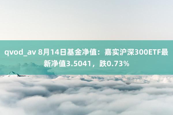 qvod_av 8月14日基金净值：嘉实沪深300ETF最新净值3.5041，跌0.73%