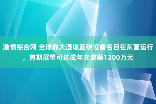 激情综合网 全球最大湿地蓝碳设备名目在东营运行，首期展望可达成年交游额1200万元