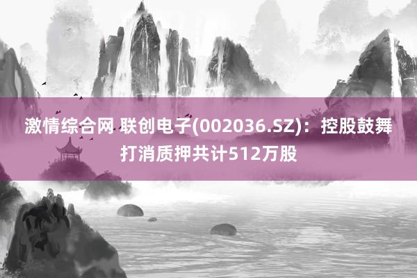 激情综合网 联创电子(002036.SZ)：控股鼓舞打消质押共计512万股