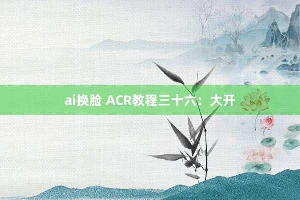 ai换脸 ACR教程三十六：大开