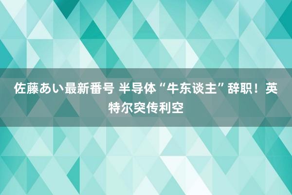 佐藤あい最新番号 半导体“牛东谈主”辞职！英特尔突传利空