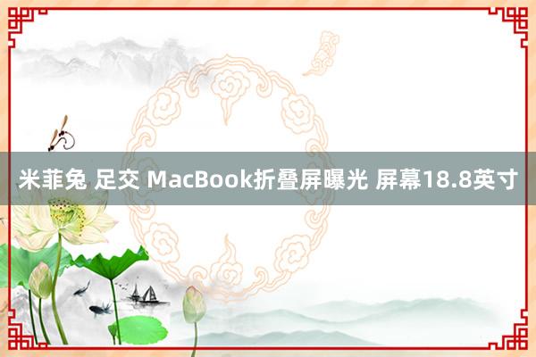 米菲兔 足交 MacBook折叠屏曝光 屏幕18.8英寸