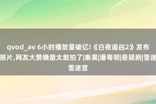 qvod_av 6小时播放量破亿!《白夜追凶2》发布预报片，网友大赞确凿太敢拍了|秦昊|潘粤明|悬疑剧|雪迷宫