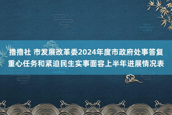 撸撸社 市发展改革委2024年度市政府处事答复重心任务和紧迫民生实事面容上半年进展情况表